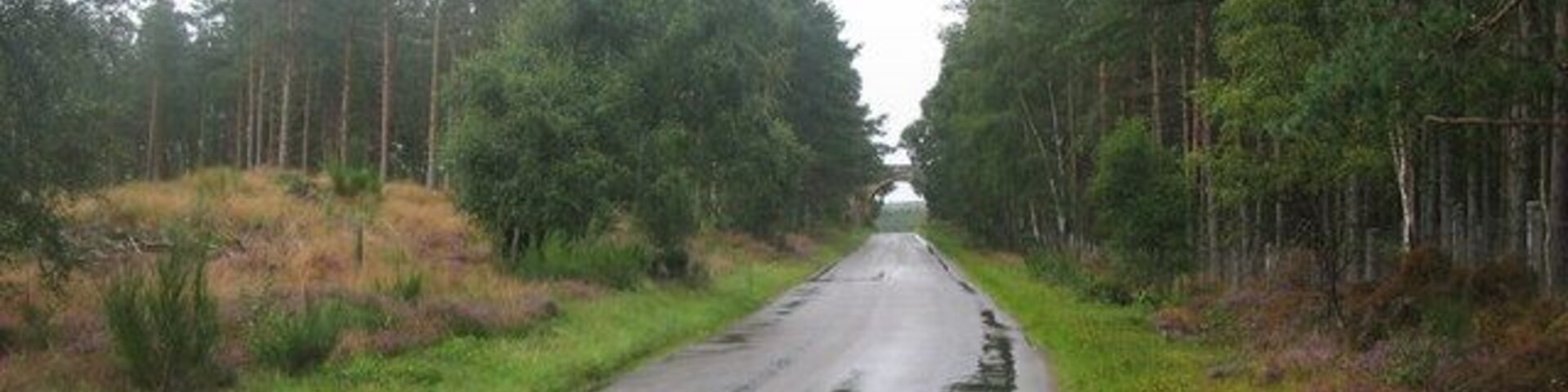 Wardend Woods. A view looking northeast along the minor road to Rafford through Wardend Woods. Rafford Bridge can be seen in the distance.