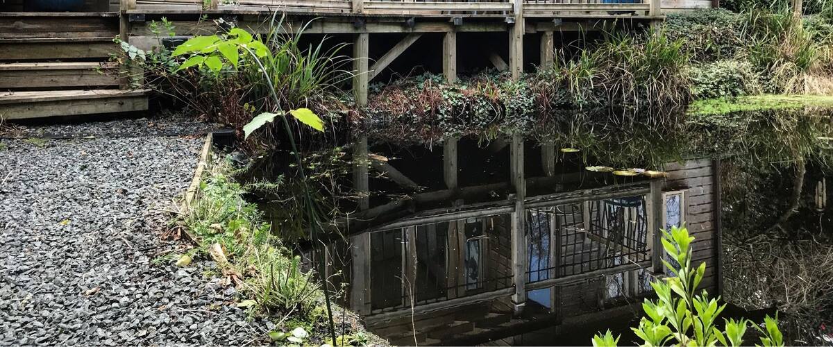 A wooden house with a balcony over a pond, surrounded by greenery.