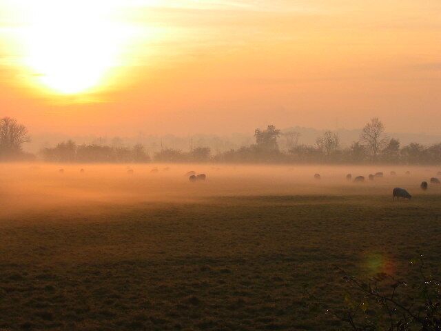 Mist over the Soar Valley, Sileby.