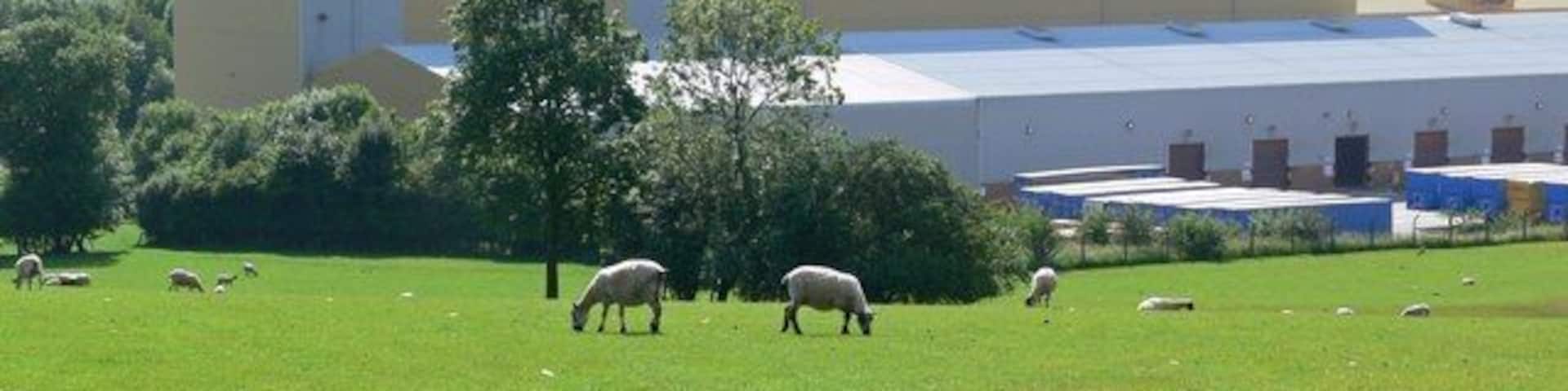 Barrow upon Soar Gypsum Works The largest and most technologically advanced of its kind in the world, this production plant came into operation in 1992. It covers 57 acres and was expanded in 2002.