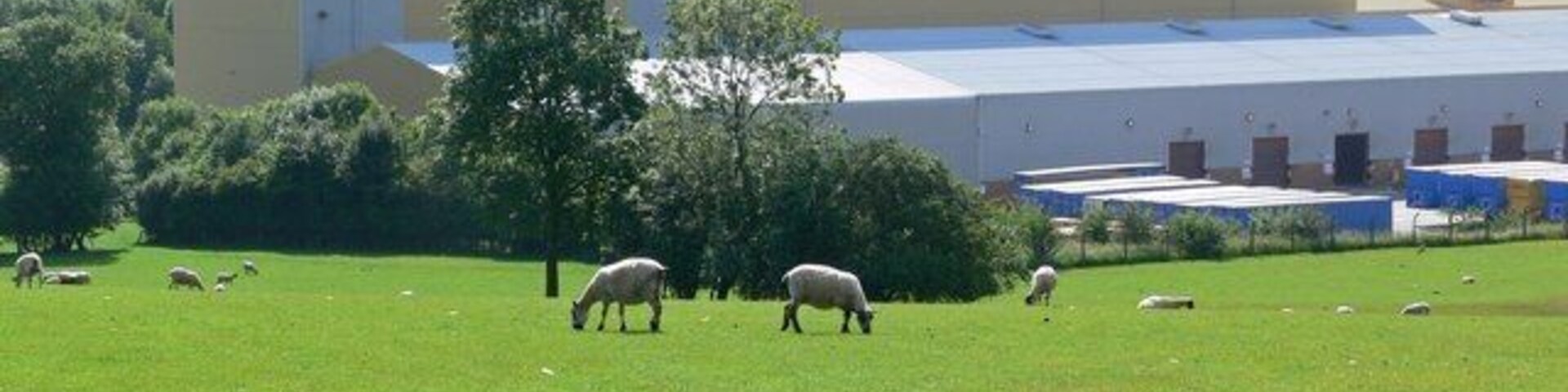 Barrow upon Soar Gypsum Works The largest and most technologically advanced of its kind in the world, this production plant came into operation in 1992. It covers 57 acres and was expanded in 2002.