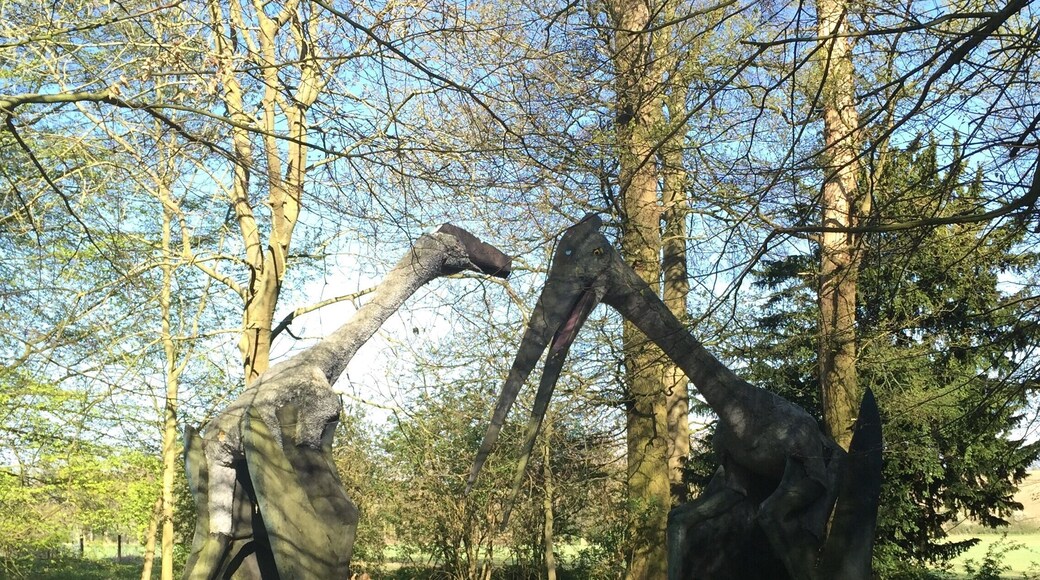 The dinosaurs in the woods at Chicheley Hall created by artist Mark Witton for the @royalsociety exhibition in 2010 . More information about the artist here http://markwitton-com.blogspot.co.uk/?m=1
#sciencetourist #woods #england #dinosaurs #science #art