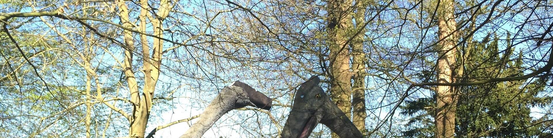 The dinosaurs in the woods at Chicheley Hall created by artist Mark Witton for the @royalsociety exhibition in 2010 . More information about the artist here http://markwitton-com.blogspot.co.uk/?m=1
#sciencetourist #woods #england #dinosaurs #science #art