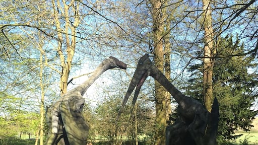 The dinosaurs in the woods at Chicheley Hall created by artist Mark Witton for the @royalsociety exhibition in 2010 . More information about the artist here http://markwitton-com.blogspot.co.uk/?m=1
#sciencetourist #woods #england #dinosaurs #science #art