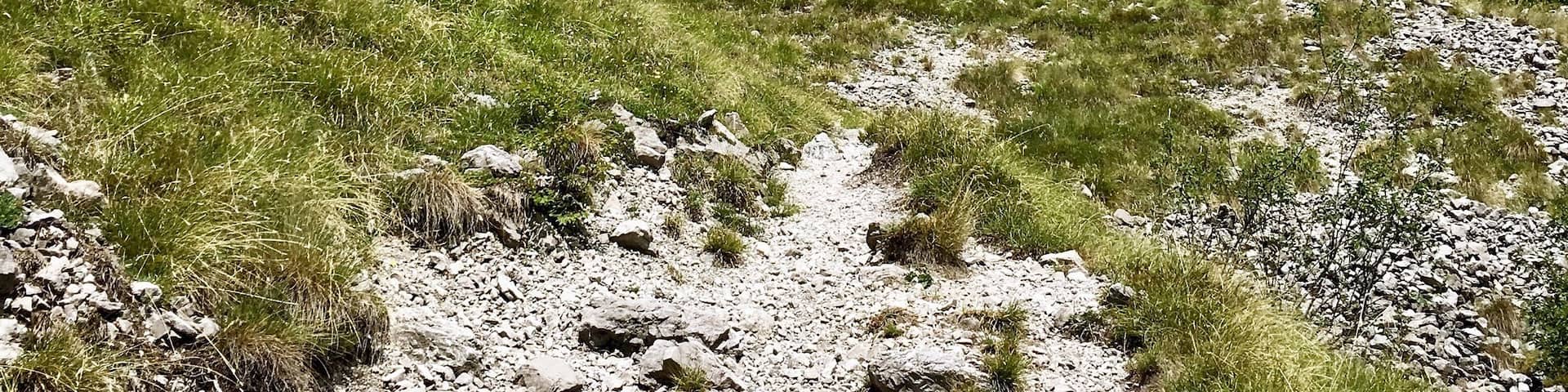 #mountains #valvertova #lombardia #italy #alps #orobie #takeahike