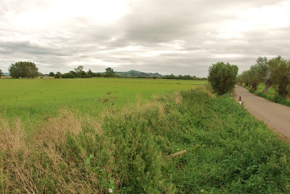 Godney: Somerset Levels The road southerly from Godney Farm. 5 miles in the distance is Glastonbury Tor.