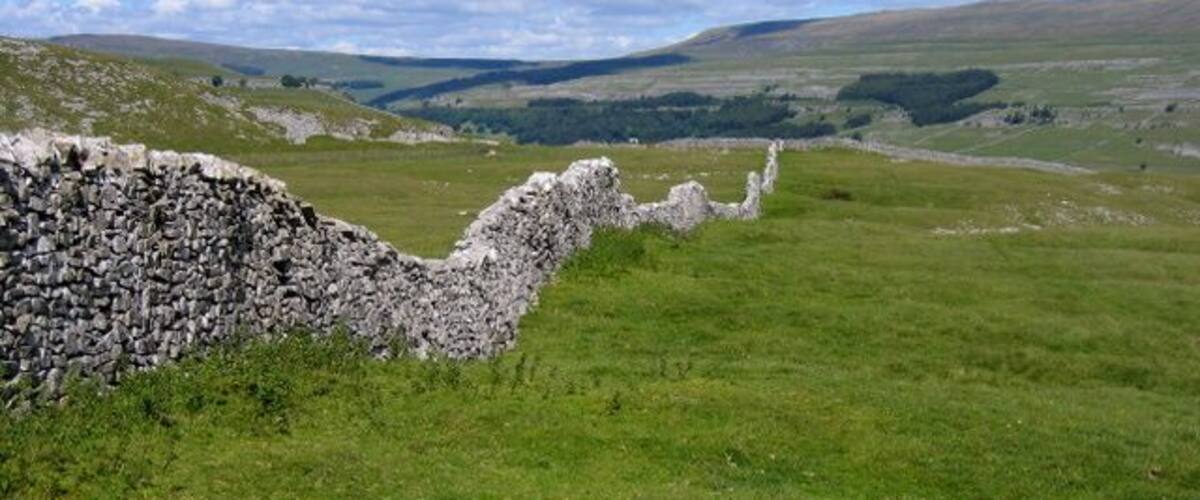 Dividing wall between the Ox Pastures Looking along the dividing wall between Low Ox Pasture on this side and High Ox Pasture on the other. Great Whernside is on the other side of the valley.