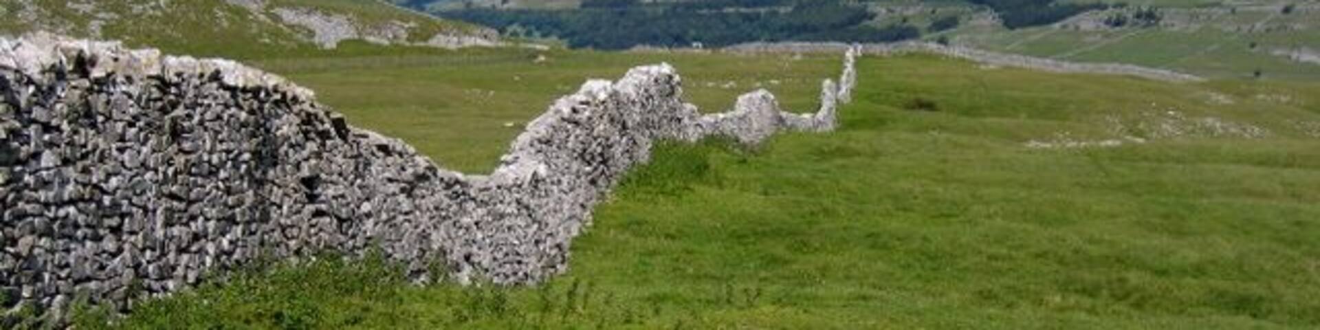 Dividing wall between the Ox Pastures Looking along the dividing wall between Low Ox Pasture on this side and High Ox Pasture on the other. Great Whernside is on the other side of the valley.