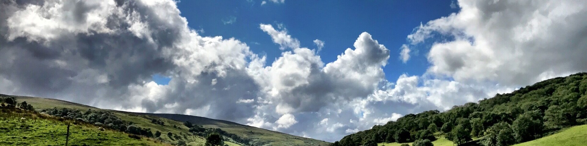 It's definitely brighter on the other side