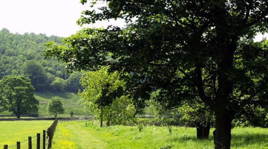 The footpath to Hubberholme
