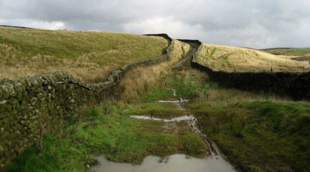 Green Lane leading from road to Bordley This does not appear to be named on the OS Map. It runs from the lane to Bordley on Boss Moor, down to the dam over Winterburn Reservoir