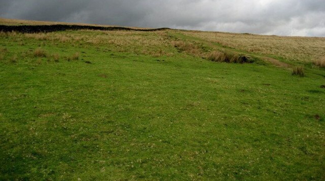 Footpath over Hetton Common Few features to be geographed along the path from Hetton to Weets