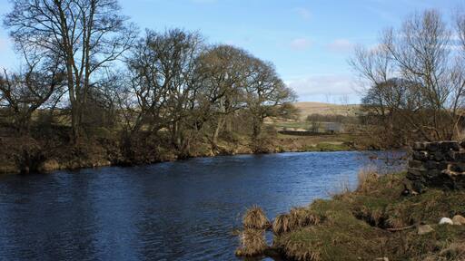 The River Wharfe The stonework in the foreground marks the start of a stretch of wall protecting the bank as the river enters a left hand bend.