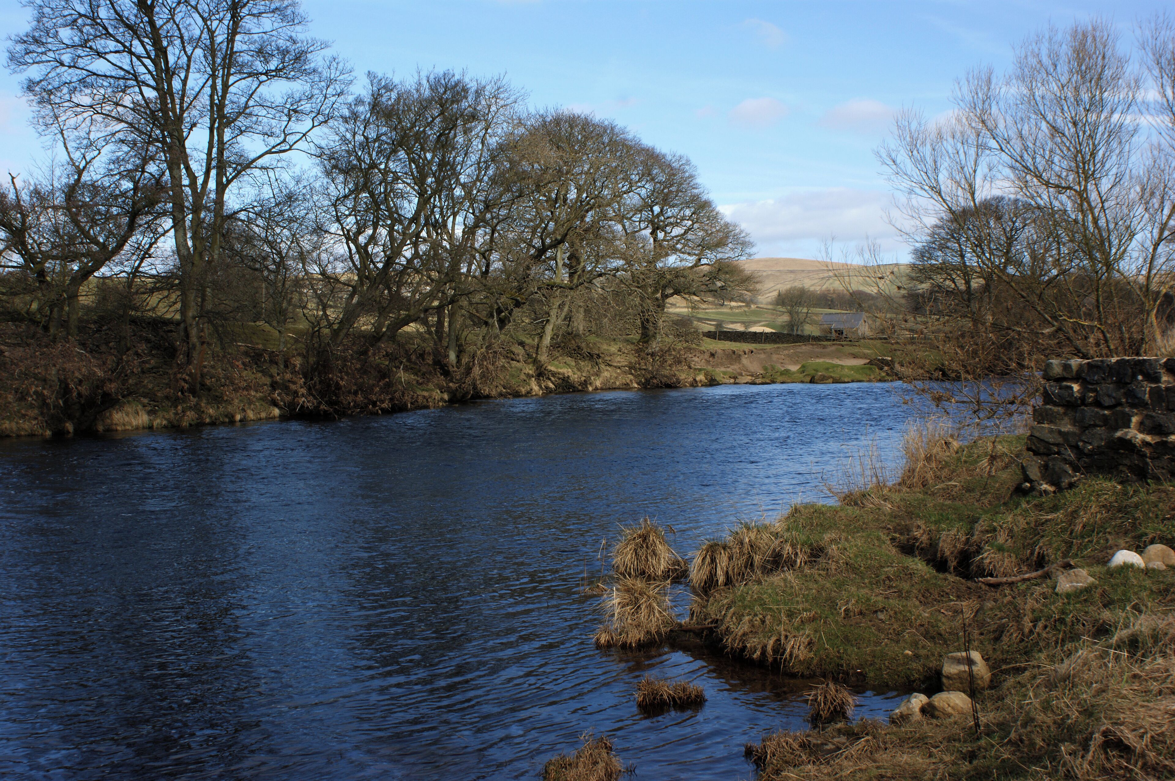 A river with trees and a stone wall.