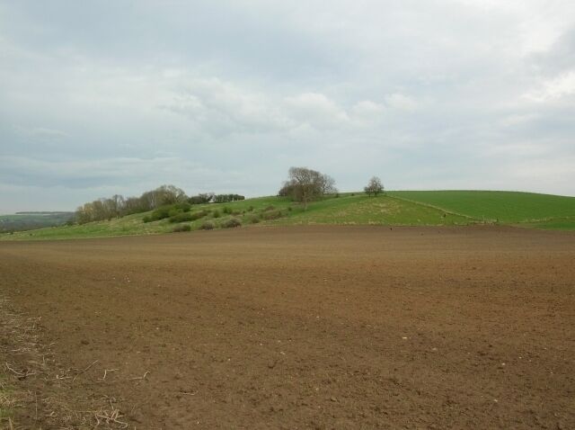 Hanging Cliffs Along the York to Malton road (Lowfield Lane).