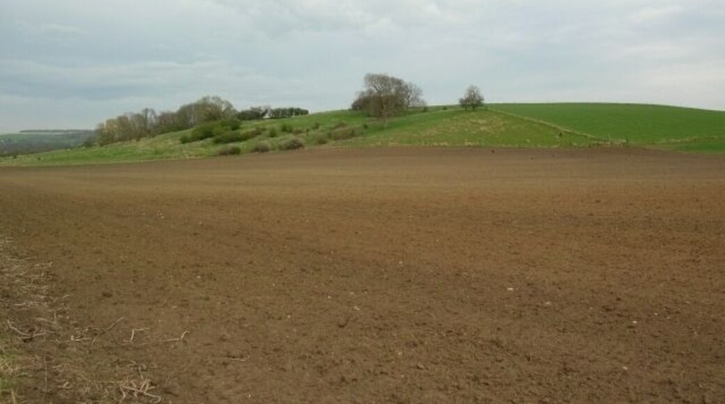 Hanging Cliffs Along the York to Malton road (Lowfield Lane).
