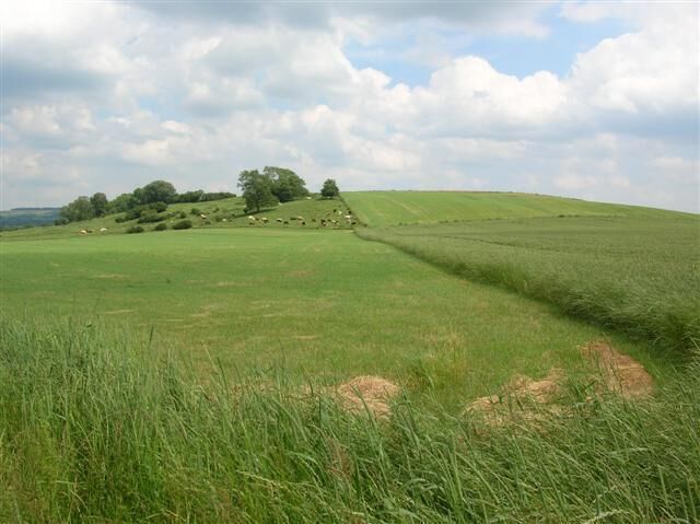 Hanging Cliffs. The mound called Hanging Cliffs hides Leppington beyond.