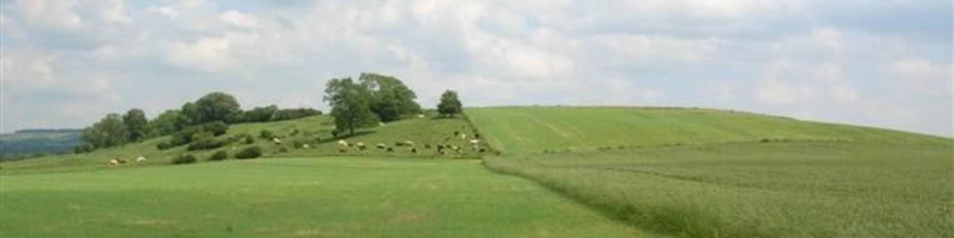Hanging Cliffs. The mound called Hanging Cliffs hides Leppington beyond.