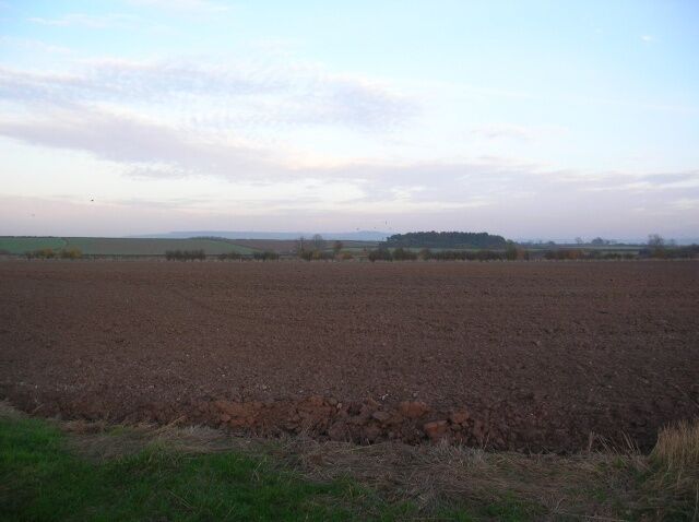 Farmland near Scrayingham Travelling along the road to Scrayingham from Buttercrambe.