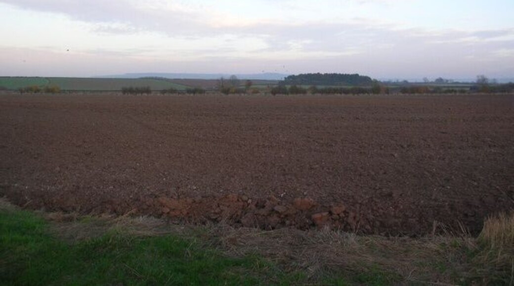 Farmland near Scrayingham Travelling along the road to Scrayingham from Buttercrambe.