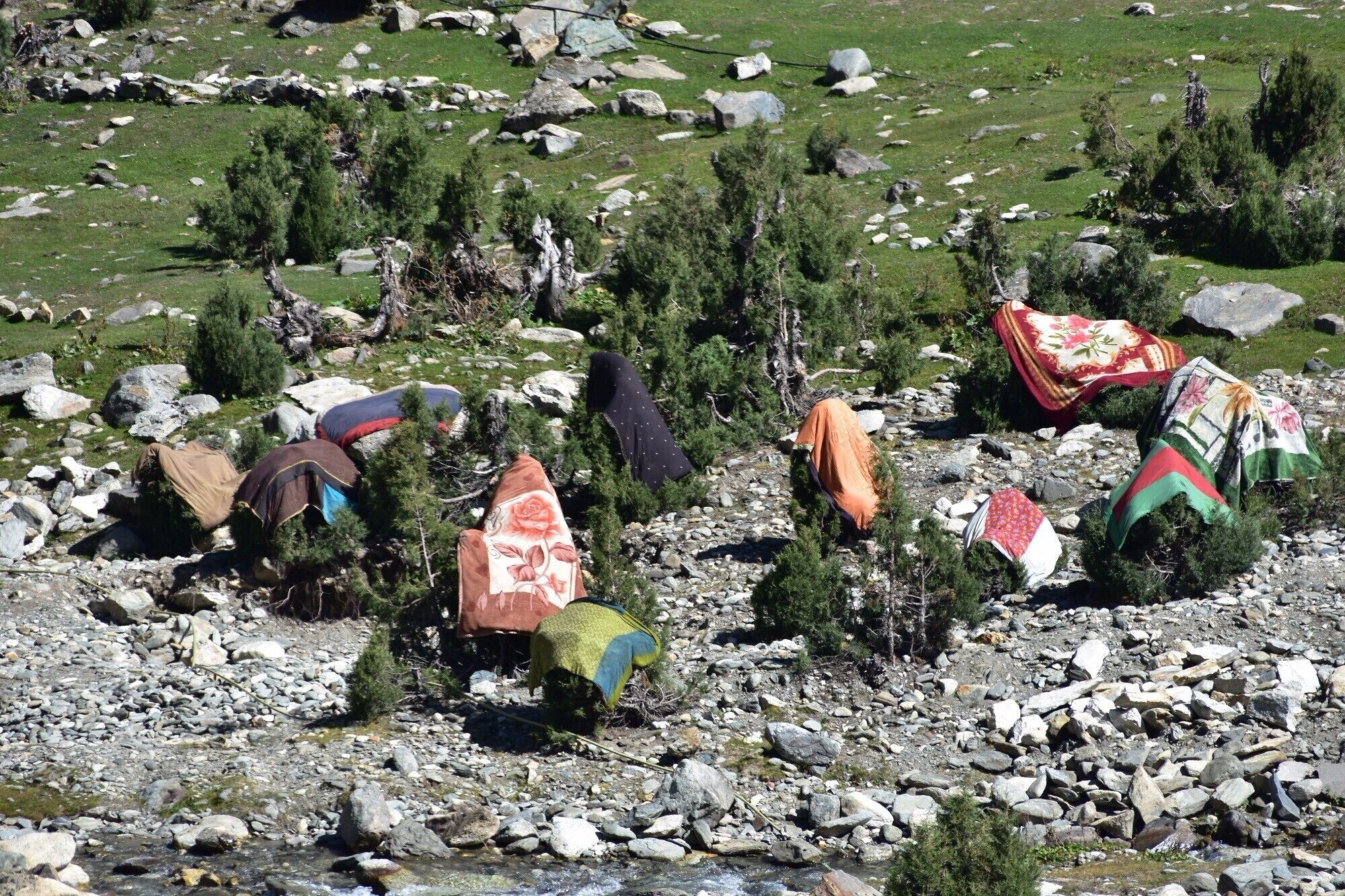 Village carpets drying near a stream.