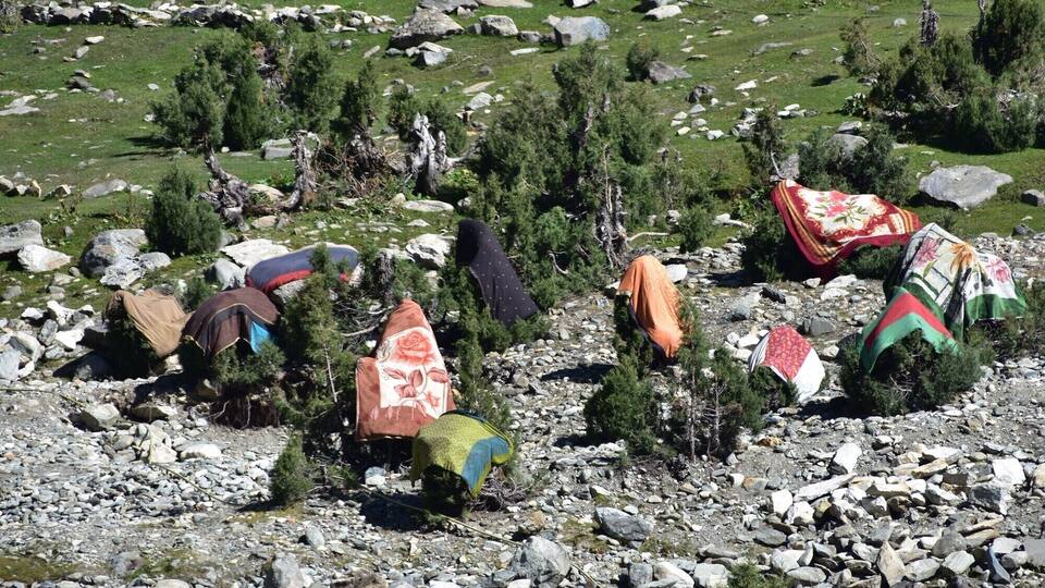 A rocky landscape with scattered trees and colorful blankets.