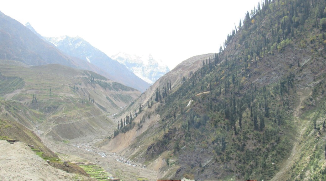 From Naran on Main Highway toward the end of the town, there is a street going on the right side encompassed by pine trees and that street leads to the lake Saiful Muluk. The road began climbing upward on the mountain with the beautiful scenic views in front. Because of frequent rains and running water from the mountains, the road to Saiful Muluk get destroyed every year, but now the government is constructing a concrete road till Saiful Muluk so that it can last longer. On one side of the road is the High Mountain range and the other side is the deep valley below, with the coursing river. We stopped at different locations to capture the scenic beauty of the area in our camera.
http://karachitokhunjerab.blogspot.com/