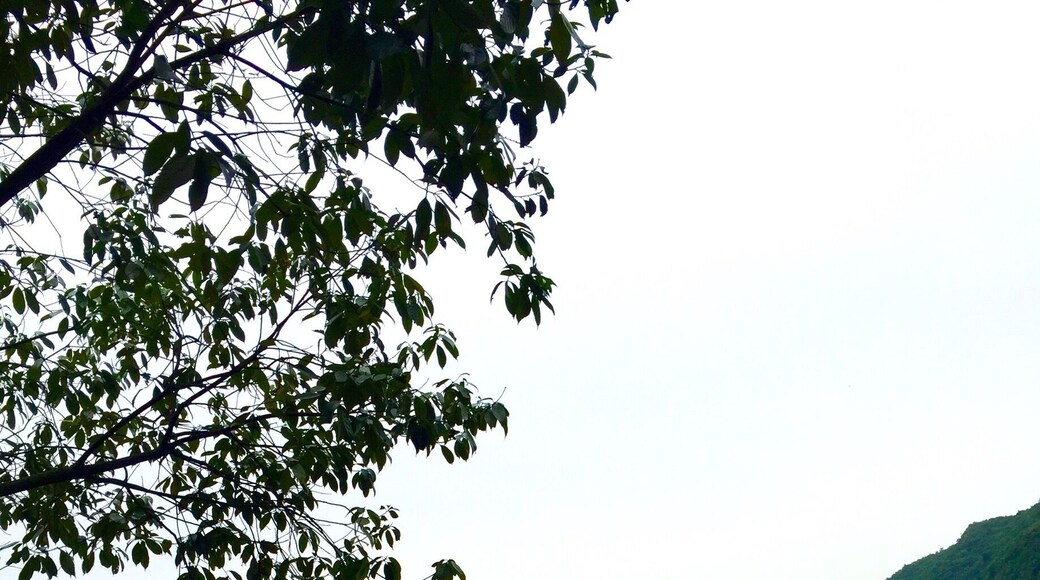 Xian Dao Hu - the fairy islands lake