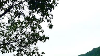 Xian Dao Hu - the fairy islands lake