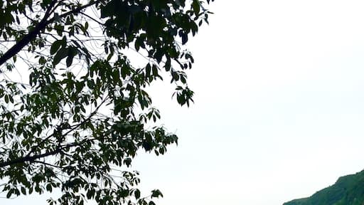 Xian Dao Hu - the fairy islands lake