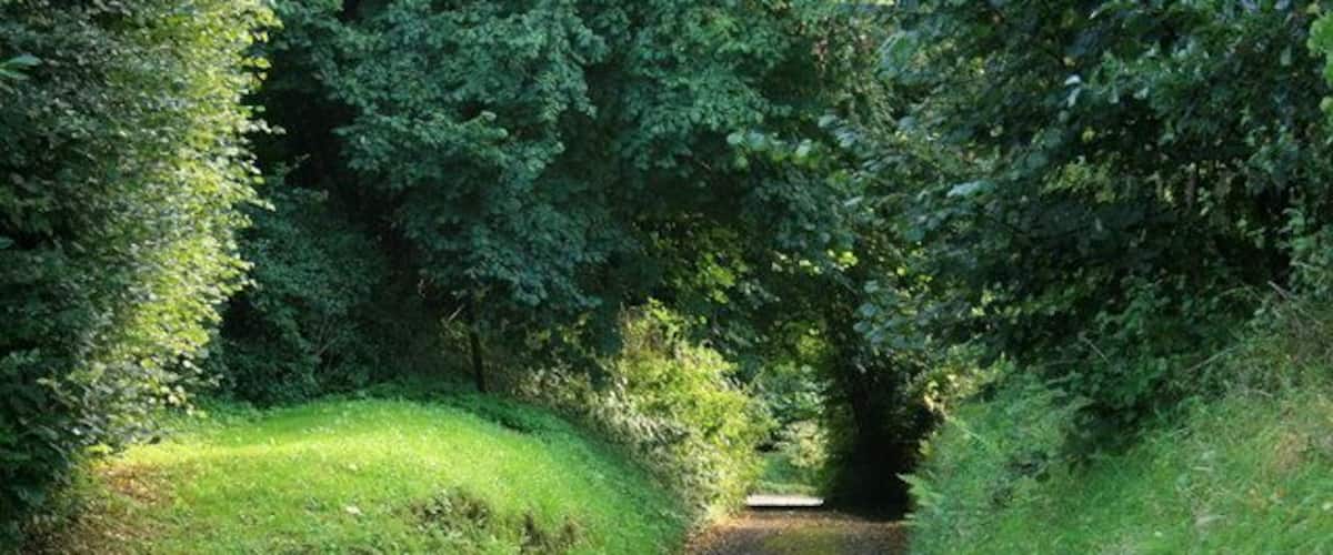 Approach to Short Street. Turning our backs on 954782 we find this quiet lane.