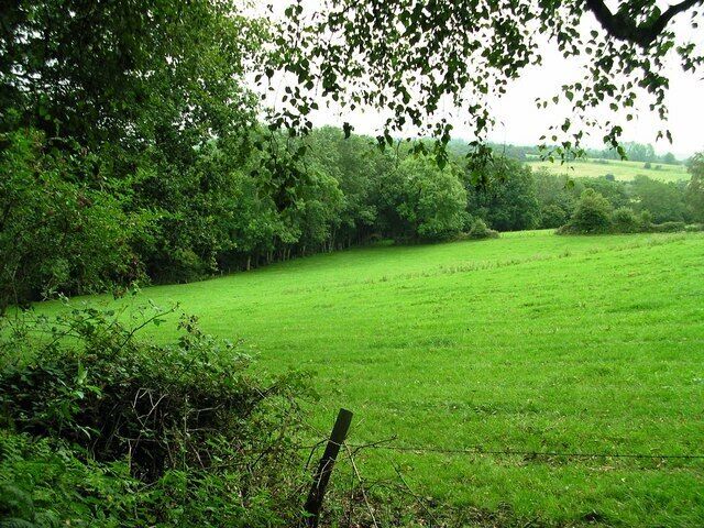 Black Dog Woods From fence line NE across field towards eastern extension of woods