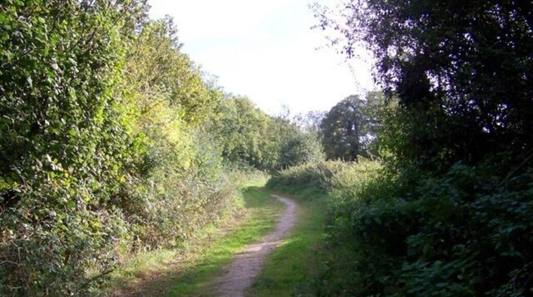 Bridleway, Chantry The bridleway takes walkers and riders from Chantry to Fingers Farm.
