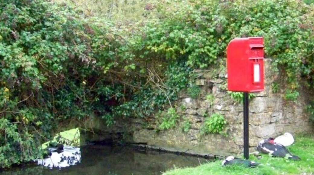 Postbox, Dinder The ducks wait patiently by the postbox, I wonder if they get fed when people come to post their letters.