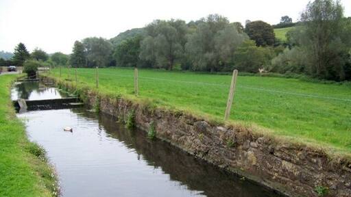 Stream, Dinder The stream is beside the road and is home to a number of ducks.