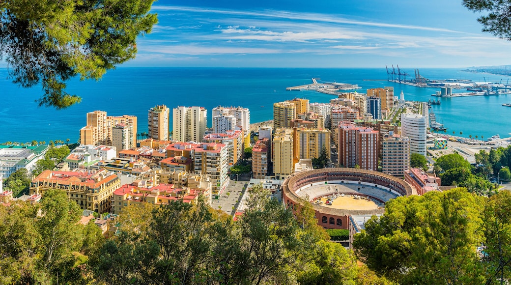Elviria
