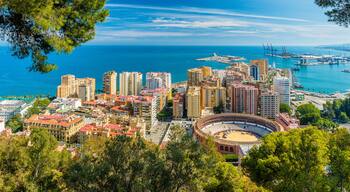Elviria