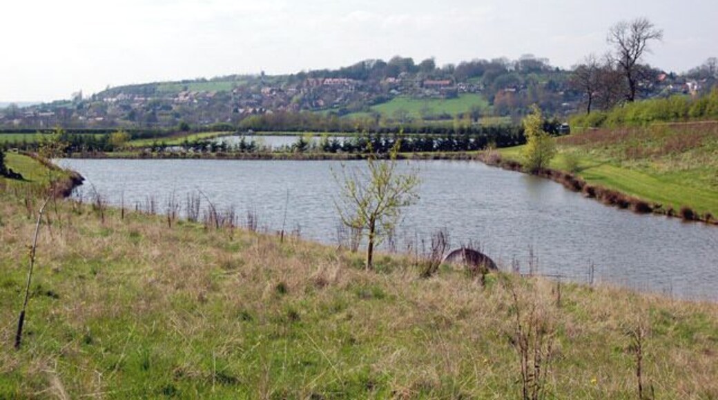 Carp pool, Napton This pool is the higher of the artificial angling lakes south-east of Napton beside the road to Priors Marston.