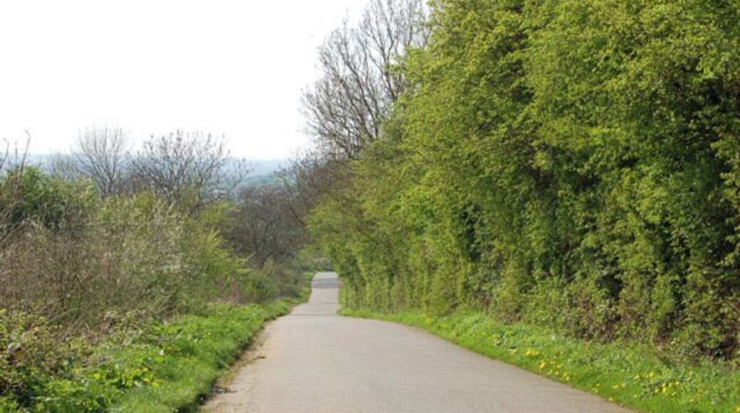 Downhill to Napton (1) Looking west down the hill to Napton on the road from Priors Marston.