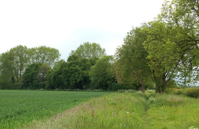 Looking south on the bridleway from Tomlow to Southam