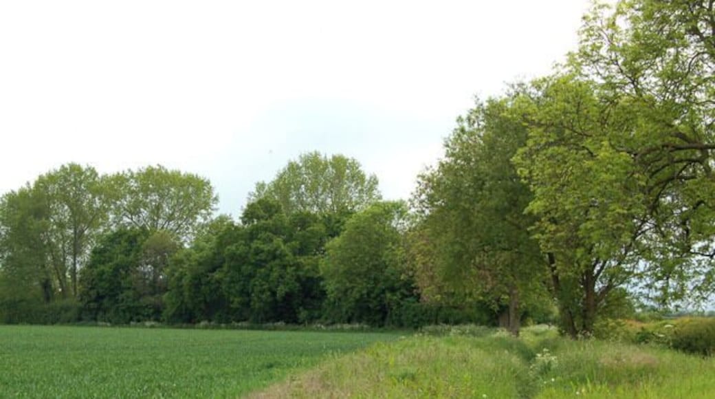 Looking south on the bridleway from Tomlow to Southam