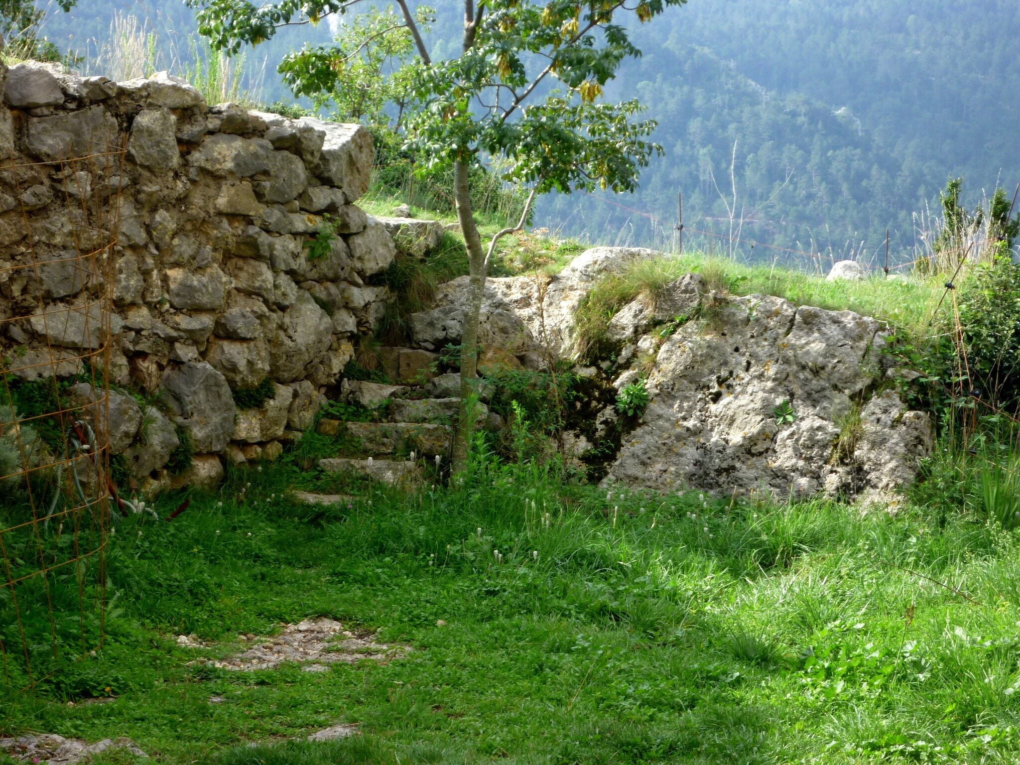 Castell d'Espinalbet (Castellar del Riu): restes del castell