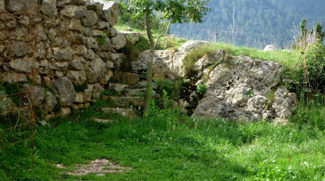 Castell d'Espinalbet (Castellar del Riu): restes del castell