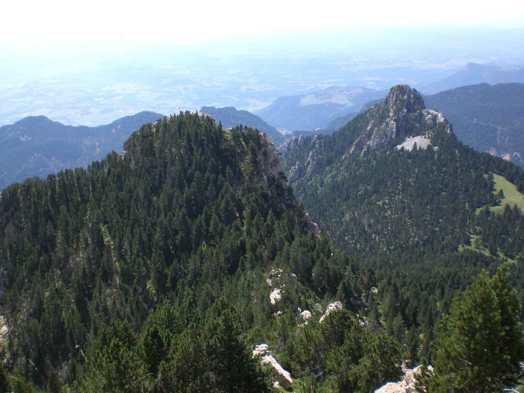 Roca d'Auró i Cogulló d'Estela (agost 2010)