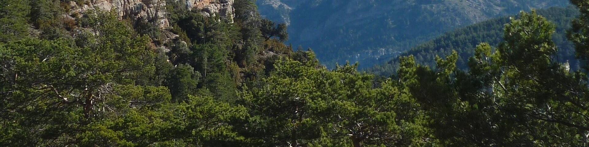 Des de la carena de Puig Sec