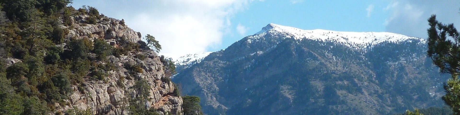 Des de la carena de Puig Sec