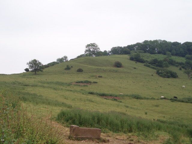 Launcherly hill and wood. A view of the steep, undulating south-west facing flank of Launcherly hill.