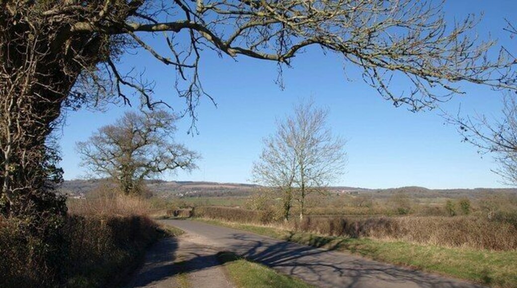 Roads at Prospect Cottage I suspect the roadway from which this was taken was the former route of the lane; it now forms the entrance to the cottage. This road is from Woodford to Dulcote; behind the camera it has just performed a sharp bend, a little less sharp after the road re-alignment.
