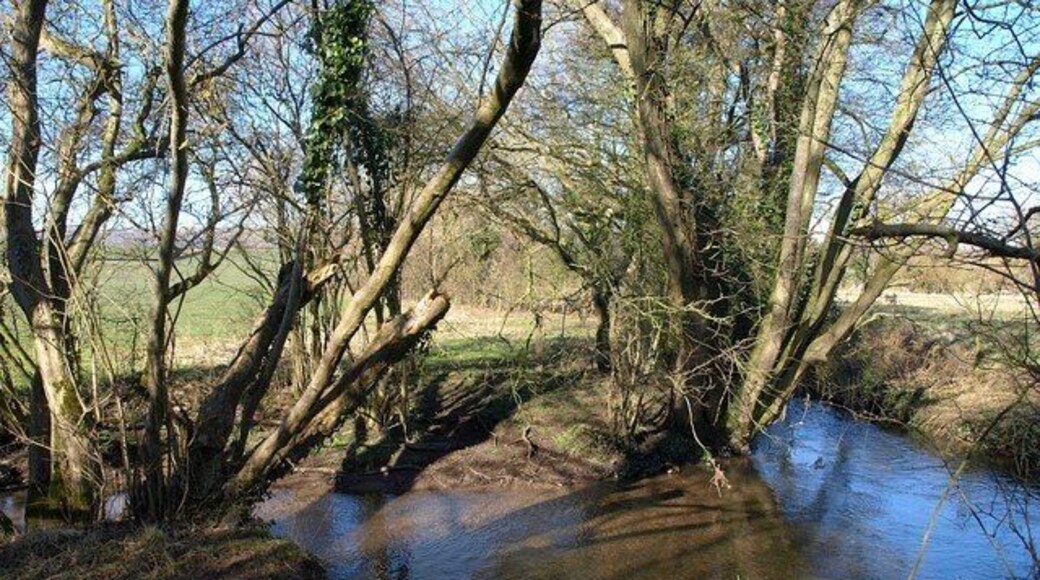River Sheppey The river, approaching from the far right, turns a sharp bend right to leave to the left as it meets a tributary. Two paths, WS 10/79 and WS 10/79a, also meet here to cross a footbridge just to the left.