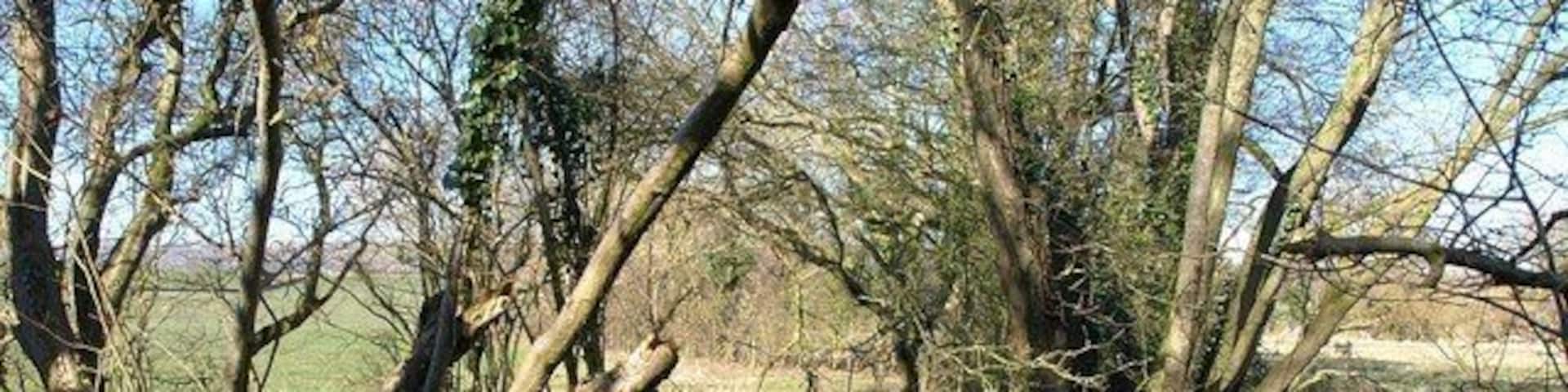 River Sheppey The river, approaching from the far right, turns a sharp bend right to leave to the left as it meets a tributary. Two paths, WS 10/79 and WS 10/79a, also meet here to cross a footbridge just to the left.